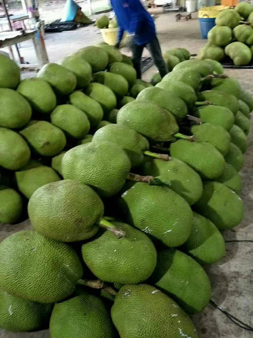 菠萝蜜视频污视频免费观看菠萝蜜视频免费观看，警惕污秽内容