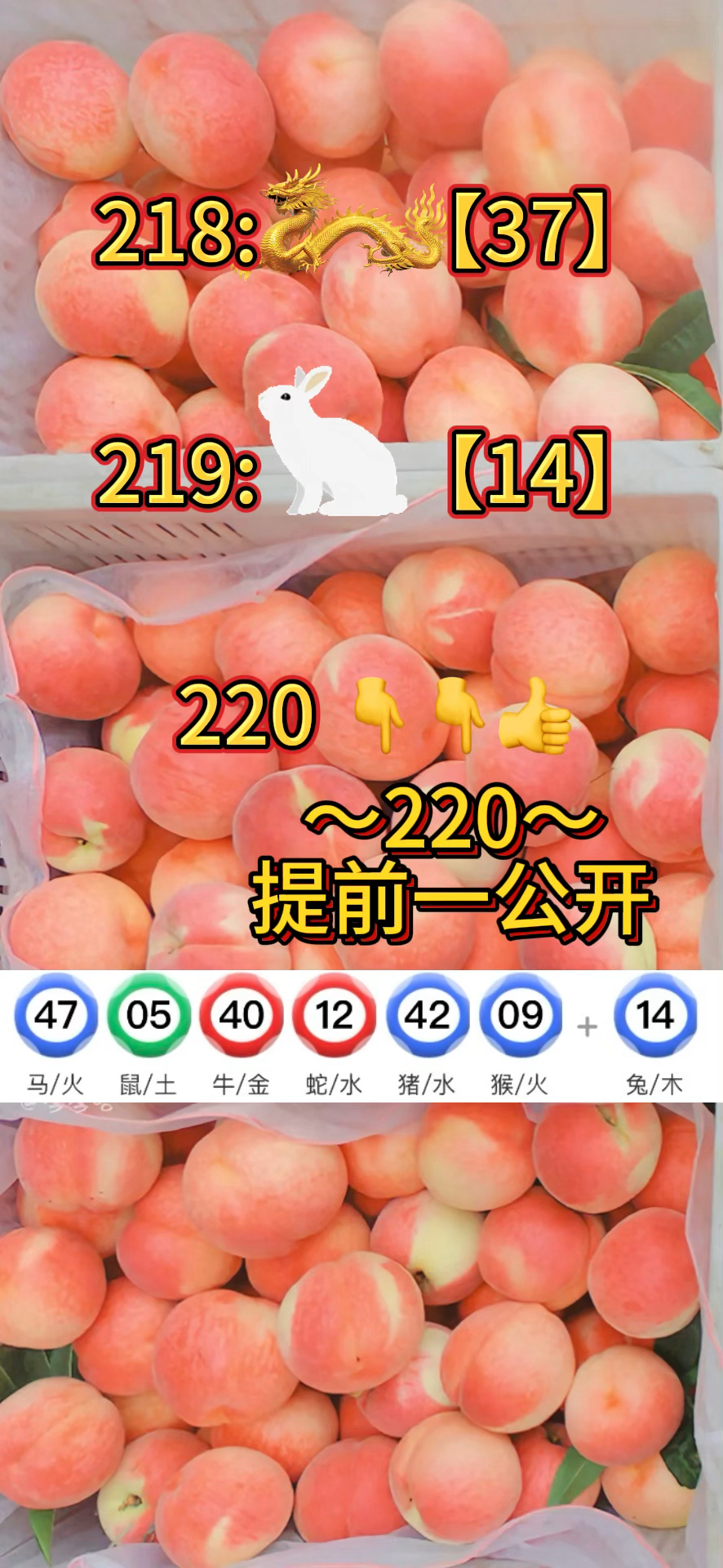 今期新澳门开奖结果记录表查询今期新澳门开奖结果记录-第2张图片