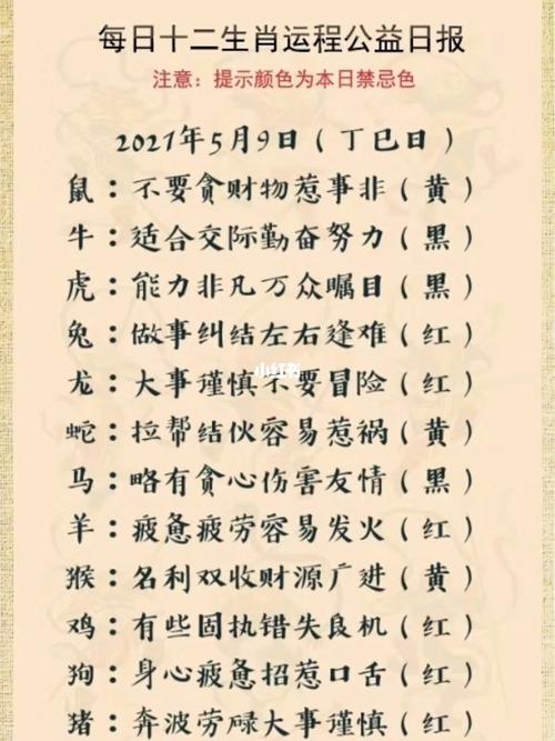 群龙无首是什么生肖？