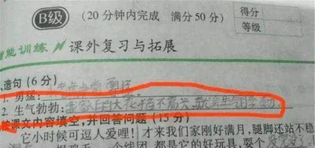 农村乱肉合集，五百年前的混乱故事-第2张图片
