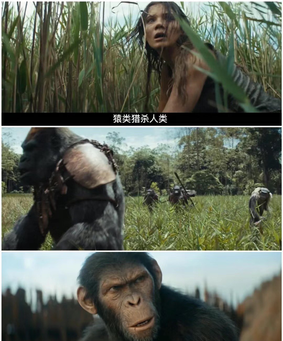 免费观影入口看日本视频，探索电影新世界-第2张图片