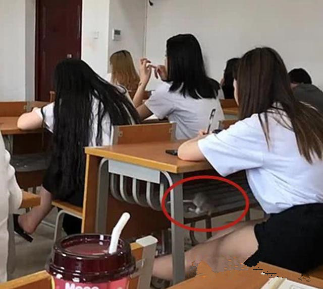 我被男同桌摸了奶我被男同桌摸了奶-第2张图片
