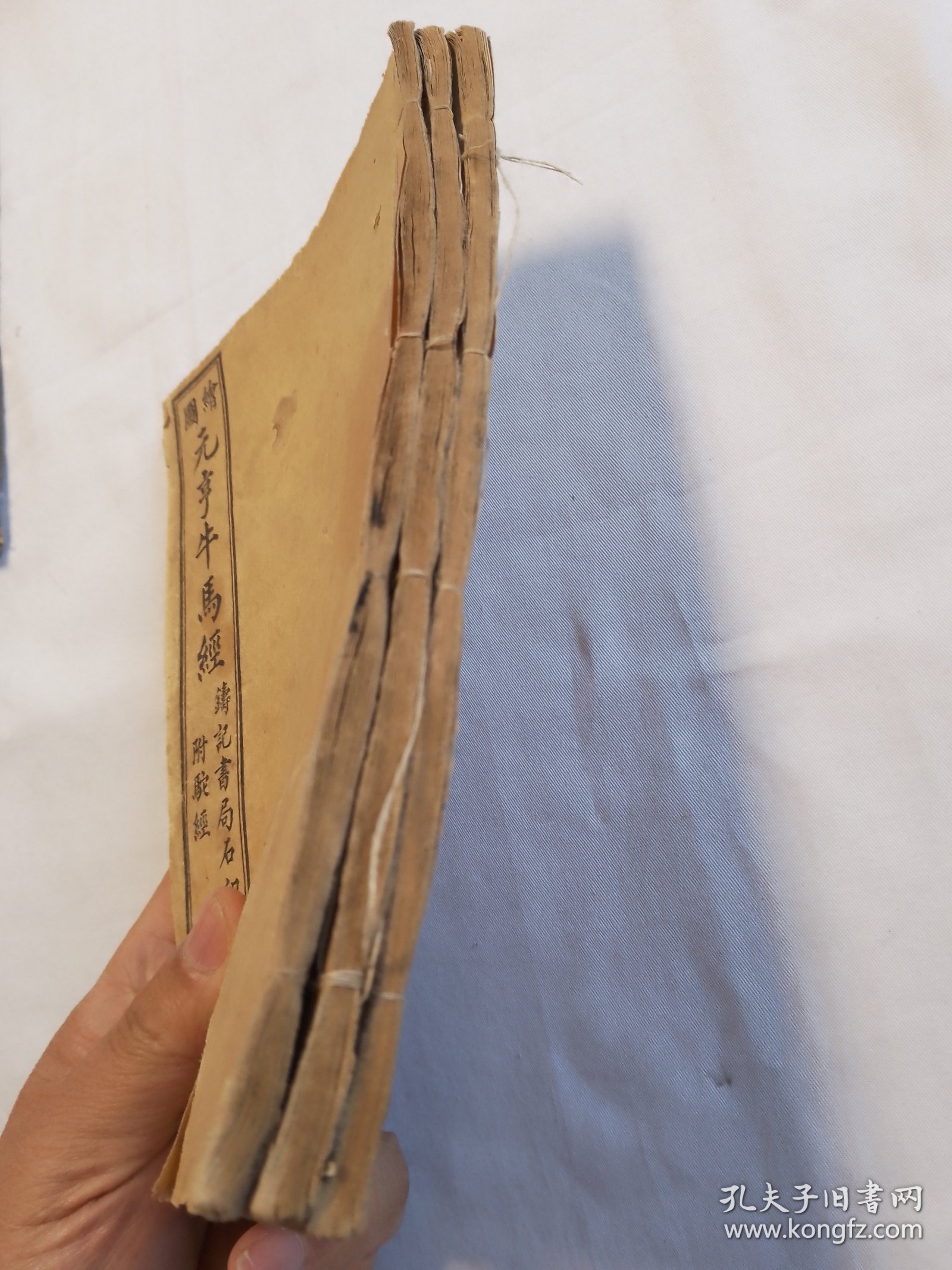 马经258图库，探索古代马匹知识与图谱的宝库-第2张图片