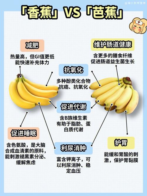 夜射猫在线精品视频_精品香蕉在线观看视频_牛牛在线精品视频(正)