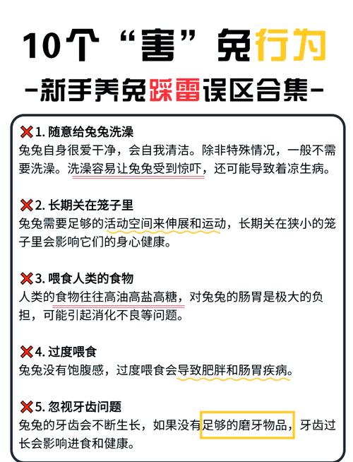 老师你的兔子好软水好多网站 如何防范不良网站对青少年道德观念和网络安全的危害