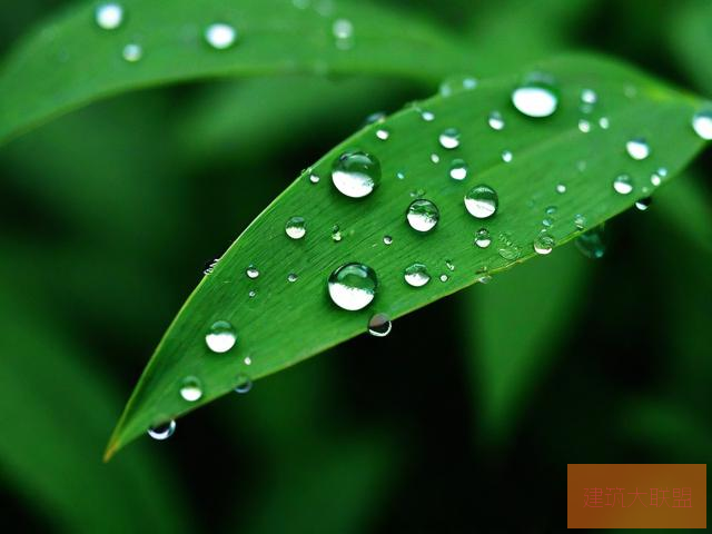 雨后的小故事图雨后小故事图