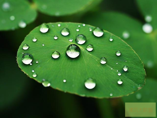 中医老王和小雨的祛毒之旅