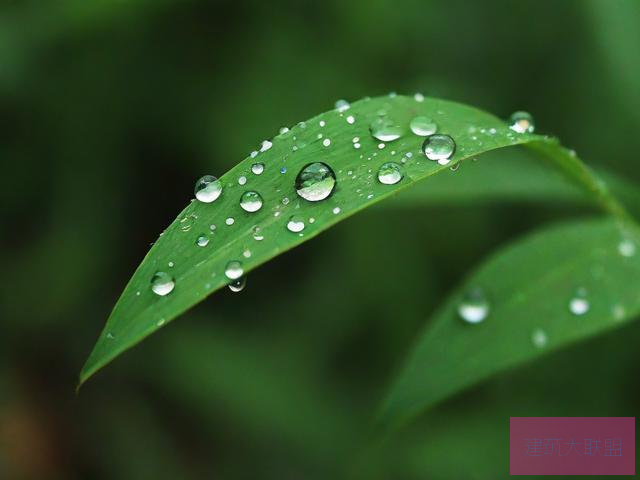 雨后小故事原版动态图下载雨后小故事原版动态图下载