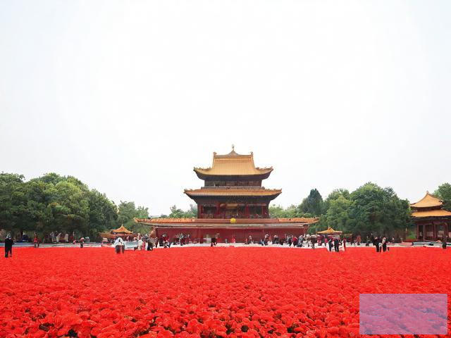 9月1日是什么节