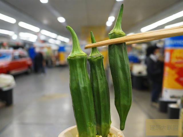 秋葵视频，男人的加油站，女人的美容院