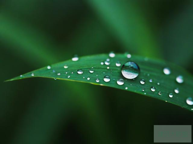 雨后小故事