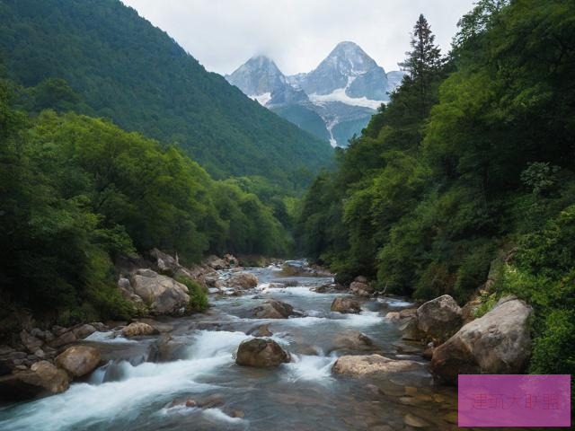 顶得你的水流得到处都是顶得你的水流得到处都是