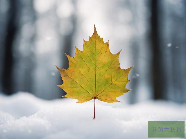 图书管理员雪叶