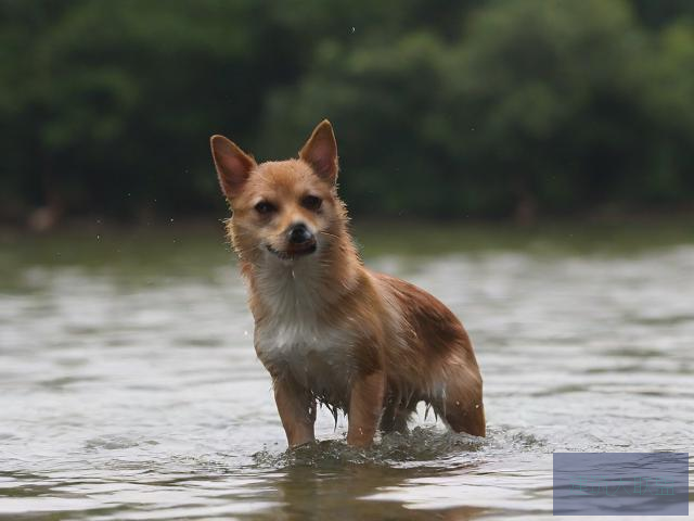 小东西才几天没做水这么多小东西才几天没做水这么多