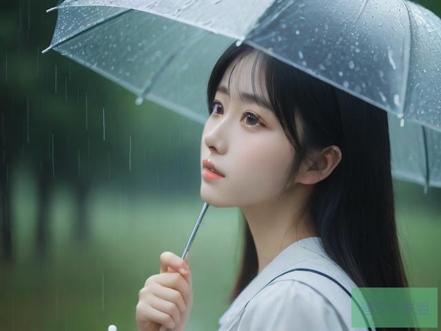 雨后的故事全集