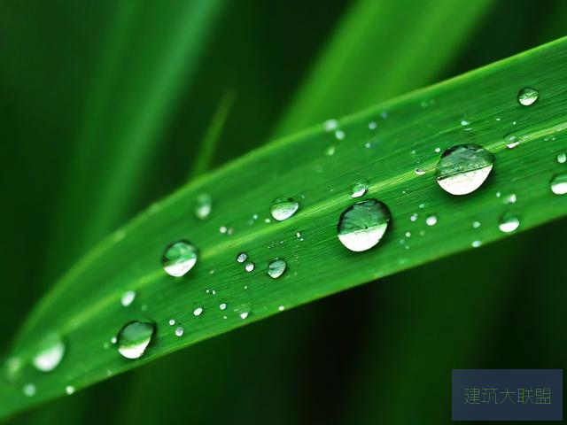 动态图片雨后小故事动态图片雨后小故事