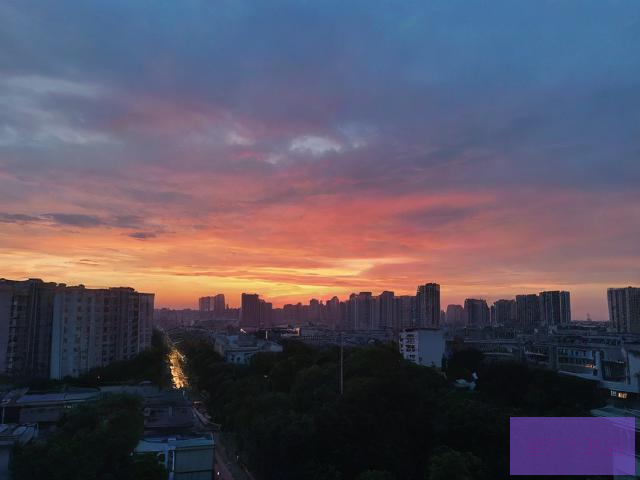 日日日日，生活的节奏与感悟