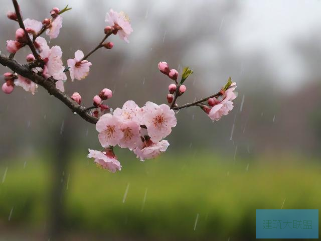 风雨送春归今晚在央视播出吗风雨送春归今晚央视播出