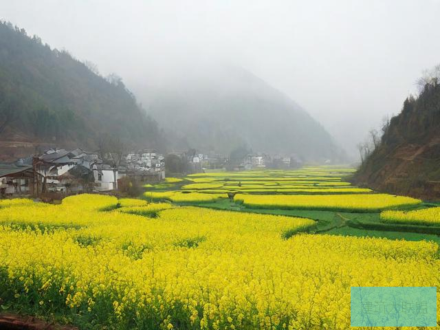 风雨送春归今晚在央视播出吗风雨送春归今晚央视播出