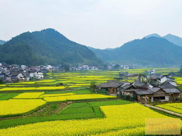 乡村同志乡村同志，共筑美好生活