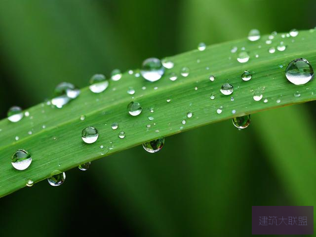 雨后小故事全集图片大全雨后小故事全集图片