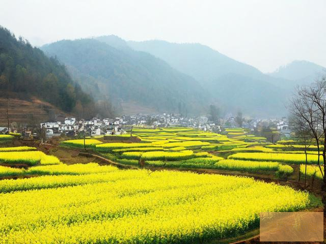 山村春情山村春情