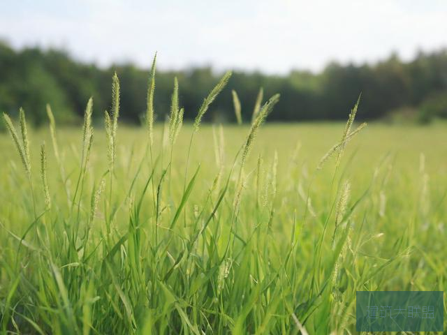 野草影院手机在线观看免费6080野草影院手机在线观看免费文章