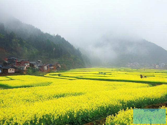 风雨送春归哪个台播放风雨送春归哪个台播放